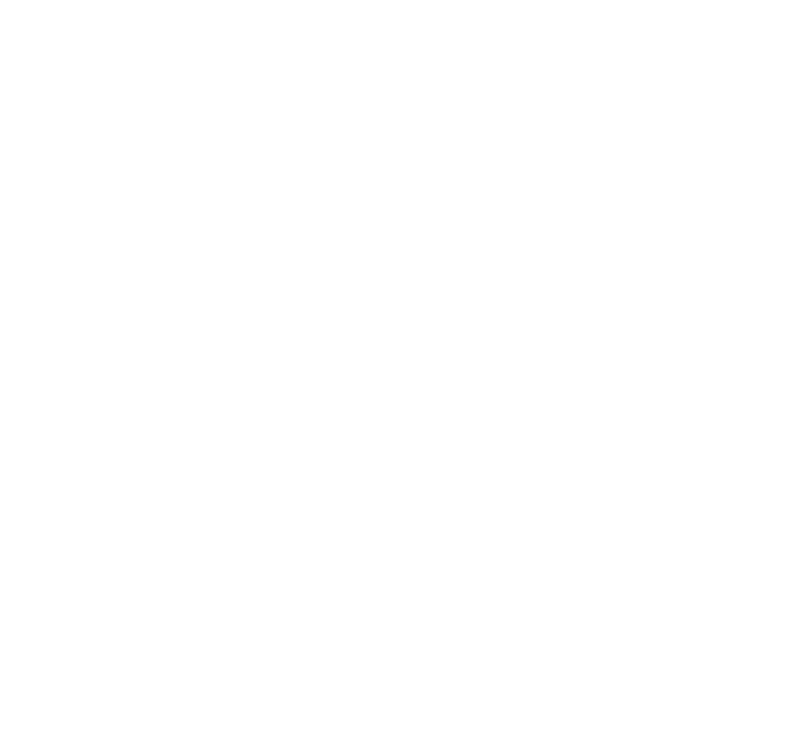StrackerBot logo